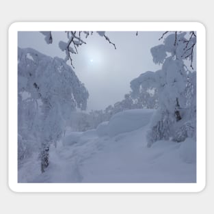 Winter Wonderland Fresh Snow Photo Sticker